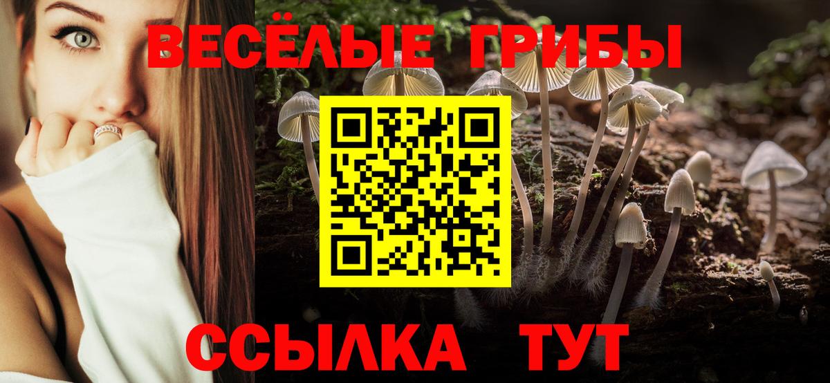 Галлюциногенные грибы Magic Shrooms Десногорск