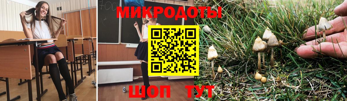 Галлюциногенные грибы Cubensis  Вход с VPN  Десногорск 